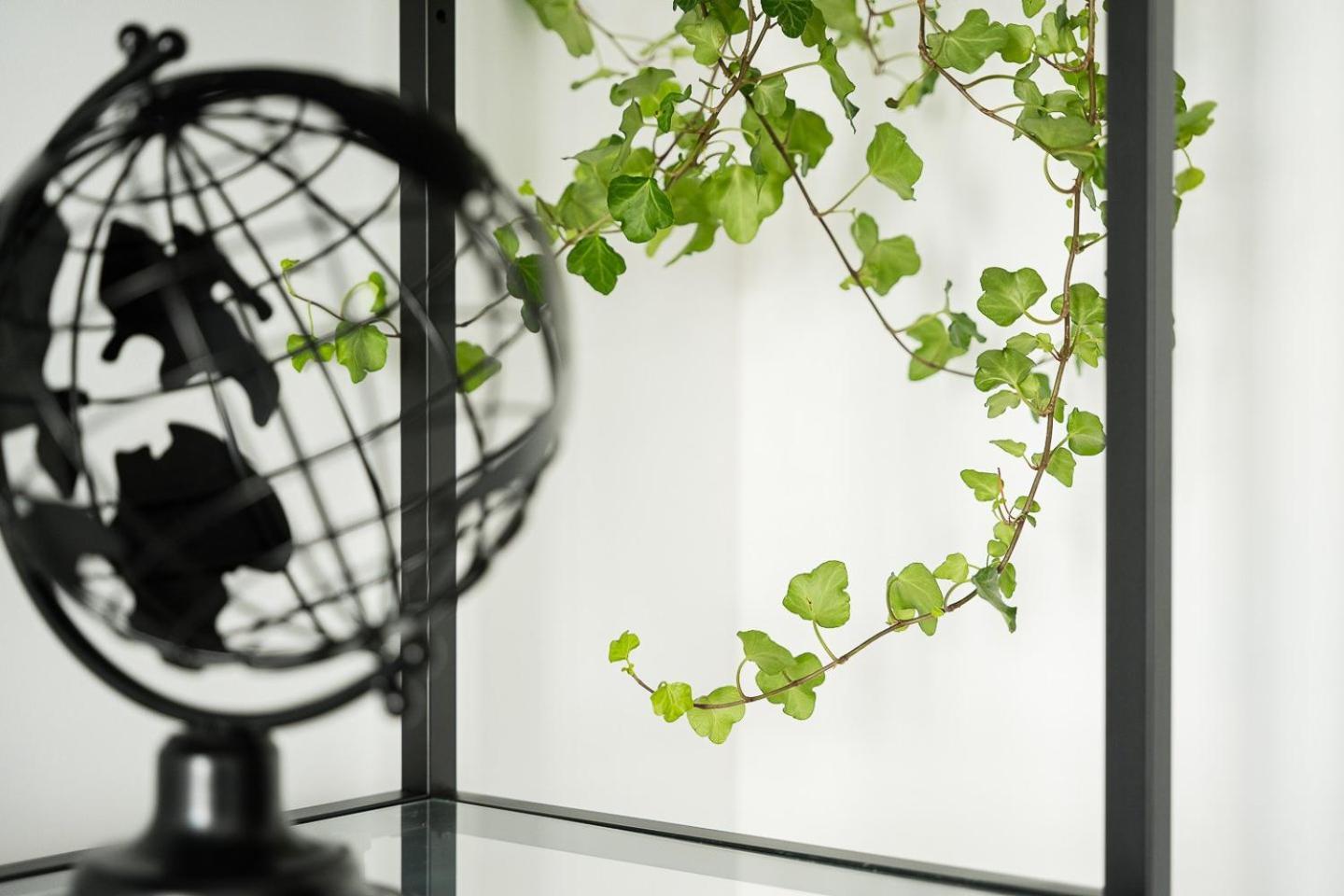 Guestready - Serene Stay In Porto Exterior foto
